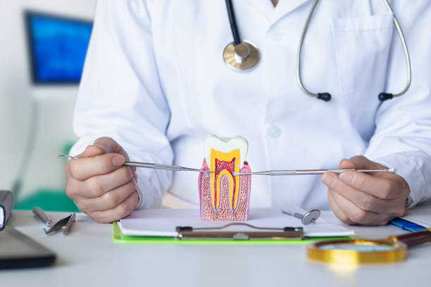 Best Emergency Dental Services for Seniors in Lakewood, NY